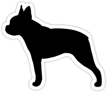 Boston Terrier Silhouette ' Sticker By Jenn Inashvili - Boston Terrier Silhouette ' Sticker By Jenn Inashvili (375x360)