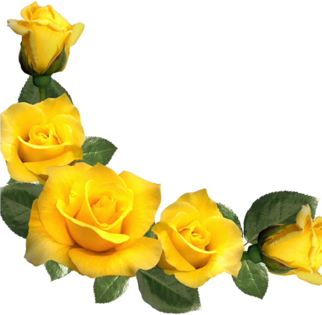 Yellow Roses Clip Art Beautiful Yellow Roses Decor - Yellow Roses Clip Art Beautiful Yellow Roses Decor (1024x1024)