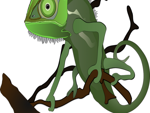 Monitor Lizard Clipart Cartoon - Monitor Lizard Clipart Cartoon (640x480)