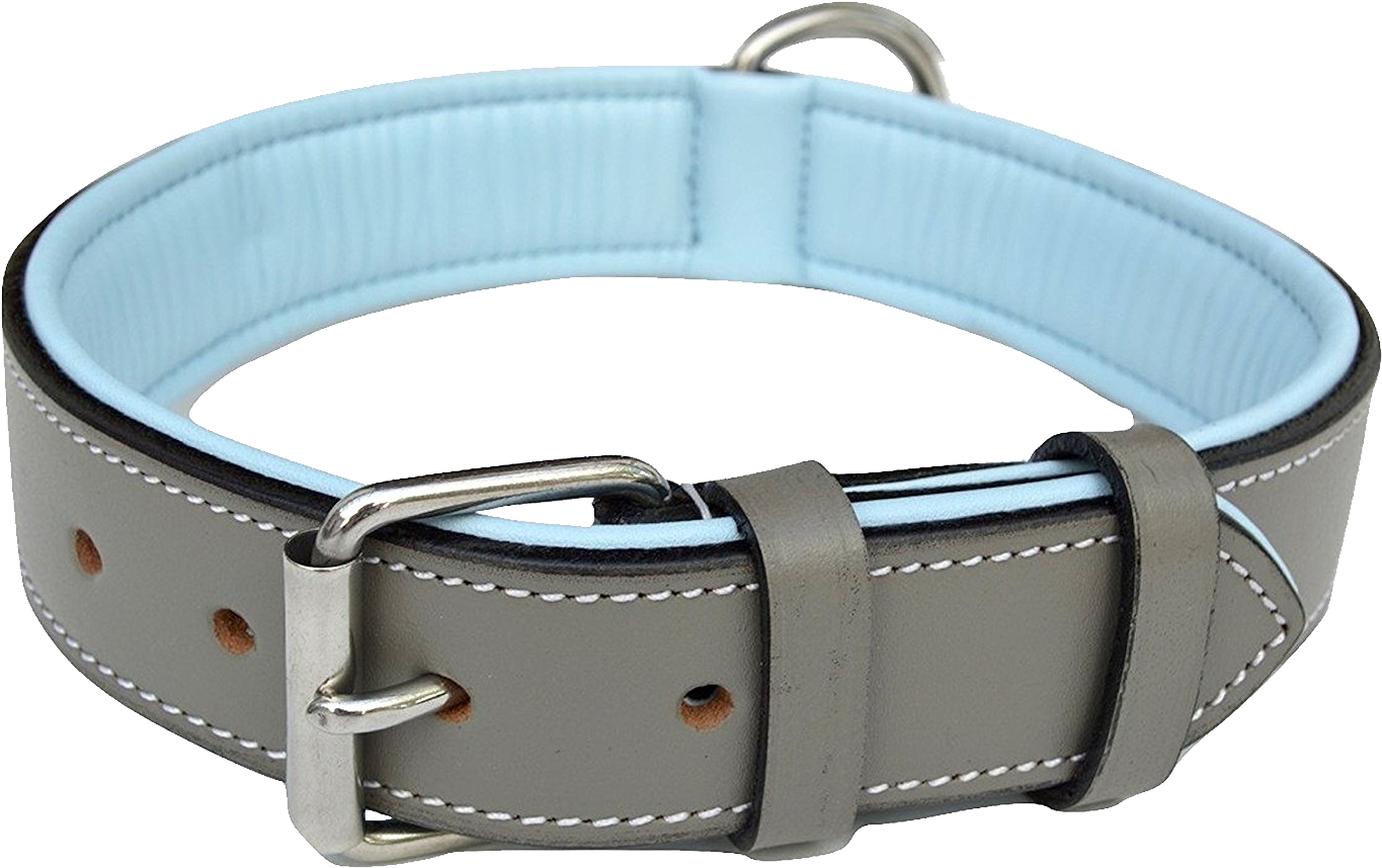 Dog Collar Png Picture Black And White - Dog Collar Png Picture Black And White (1500x945)