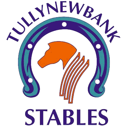 Tullynewbank Stables - Tullynewbank Stables (426x426)