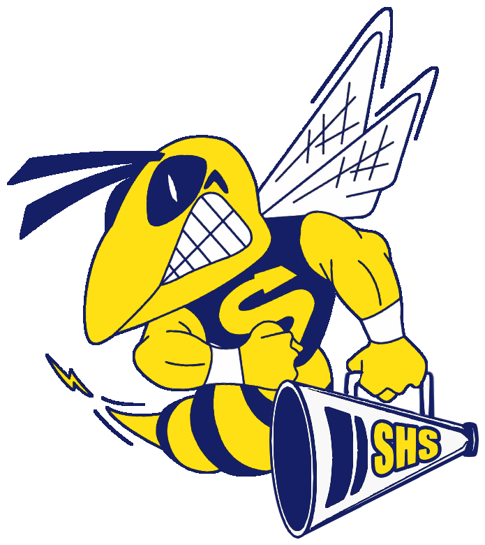 2 Tone Saline Hornet Logo W Border - 2 Tone Saline Hornet Logo W Border (736x814)