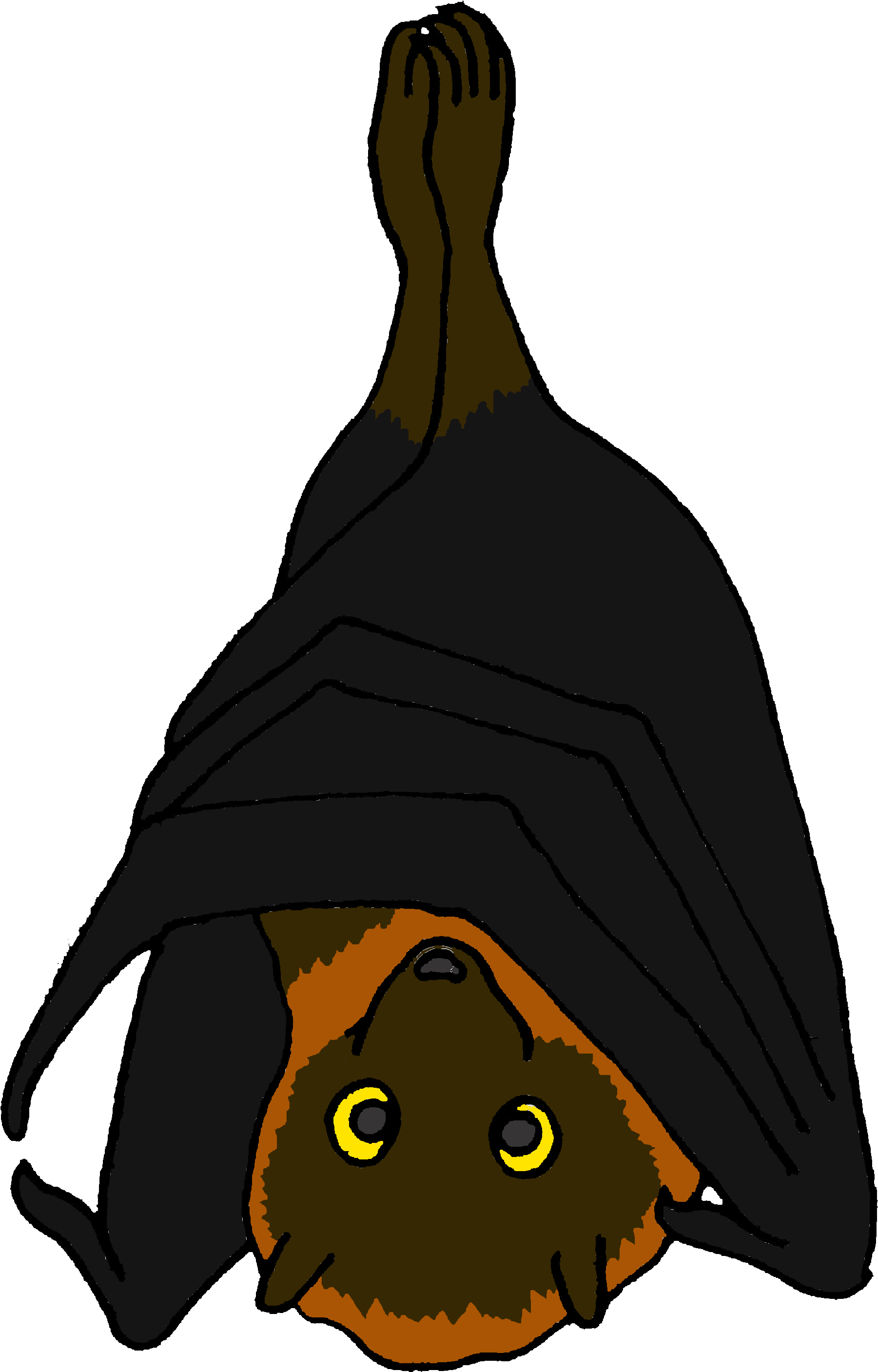 Cartoon Rodrigues Fruit Bat - Cartoon Rodrigues Fruit Bat (3000x3000)