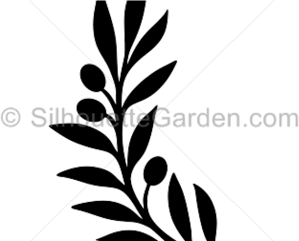 Leaf Clipart Olive Tree - Leaf Clipart Olive Tree (640x480)