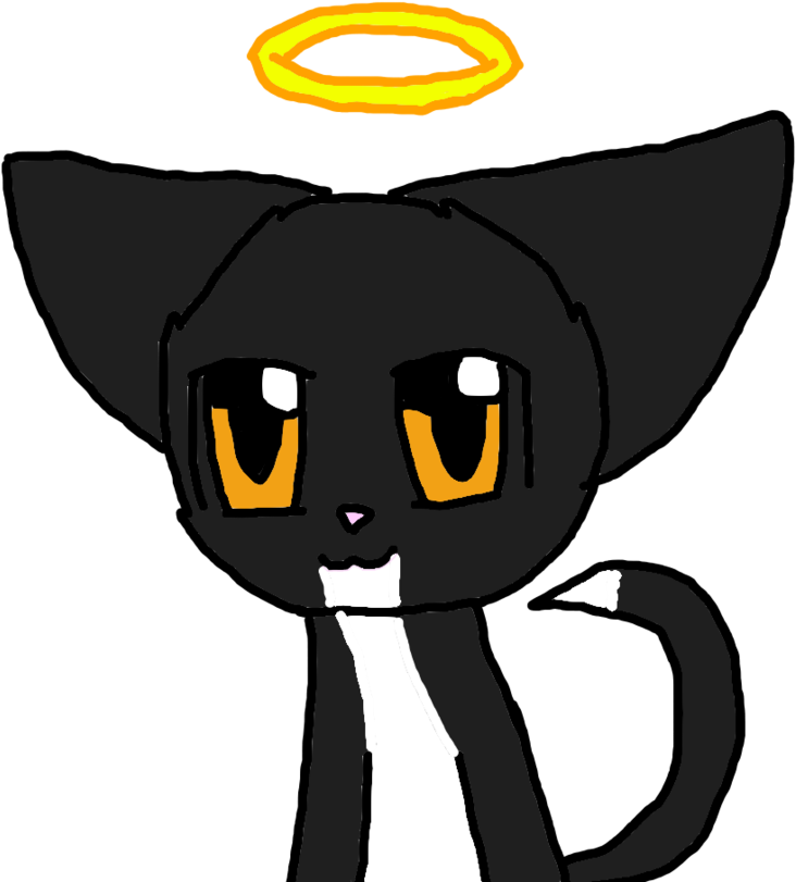 My Cute Good/evil Cat By Catanimator On Deviantart - My Cute Good/evil Cat By Catanimator On Deviantart (894x894)