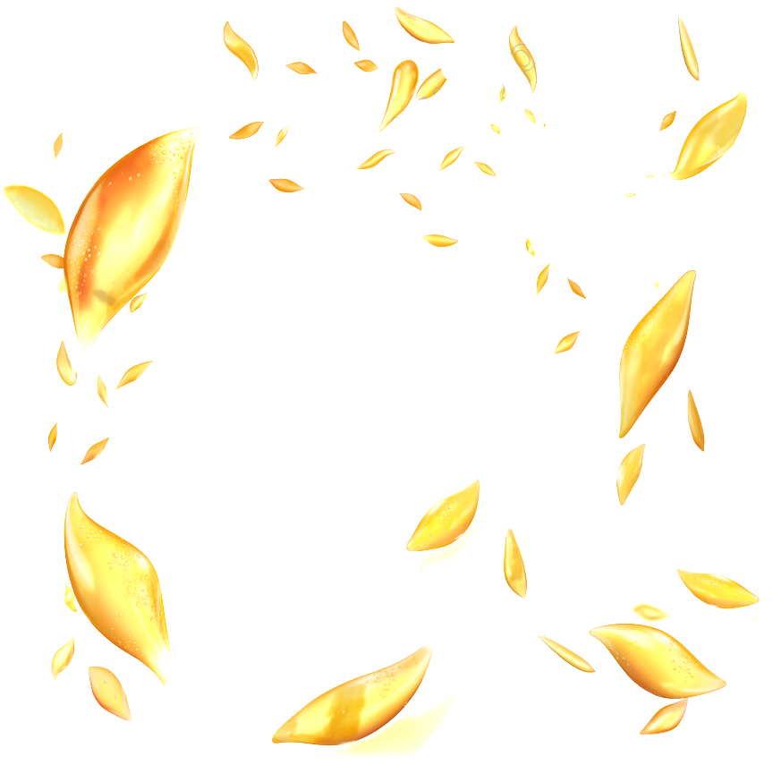 Grains Clipart Golden Wheat - Grains Clipart Golden Wheat (1024x959)