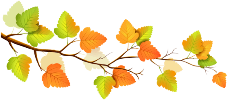 Download Fall Branch Decor Clipart Png Photo - Download Fall Branch Decor Clipart Png Photo (850x384)