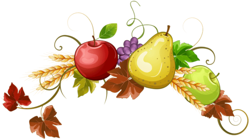 Download Autumn Fruits Decoration Clipart Png Photo - Download Autumn Fruits Decoration Clipart Png Photo (850x492)