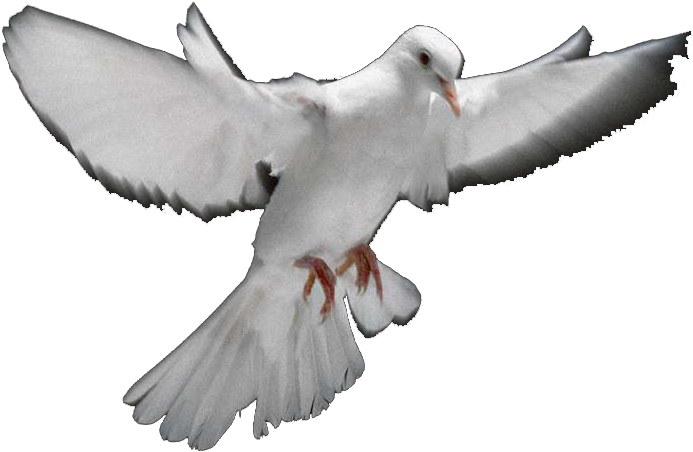 Yükle The Dream"it Is Our Goal That Darkonstar Univeristy - Yükle The Dream"it Is Our Goal That Darkonstar Univeristy (1024x762)