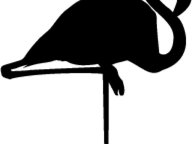 Flamingo Clipart Black And White - Flamingo Clipart Black And White (640x480)