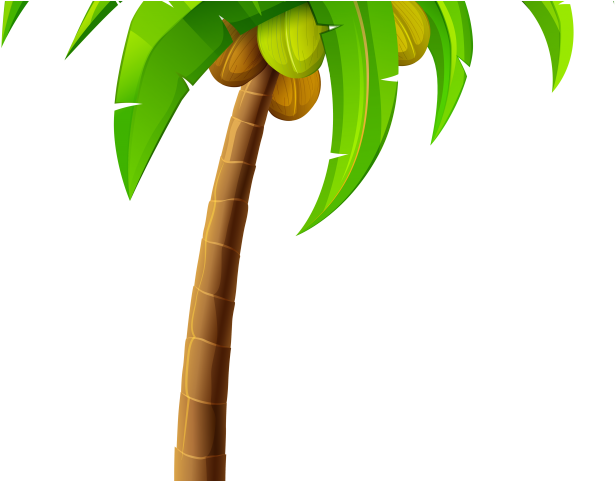 Flamingo Clipart Palm Tree - Flamingo Clipart Palm Tree (640x480)
