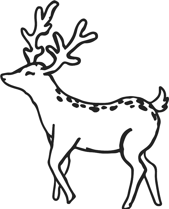 Buck Deer Rubber Stamp - Buck Deer Rubber Stamp (800x800)