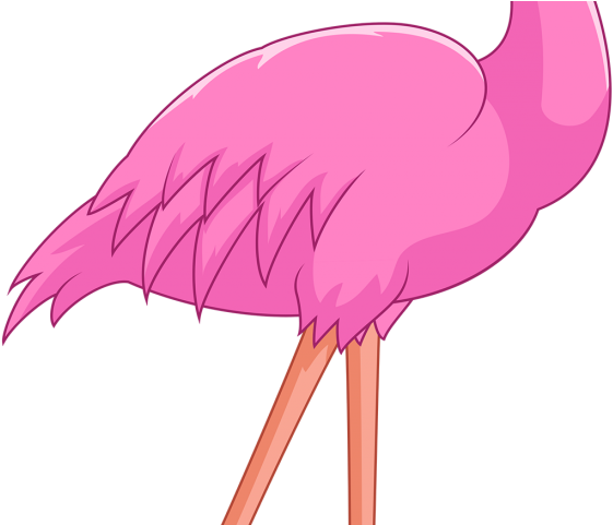 Flamingo Clipart - Flamingo Clipart (640x480)