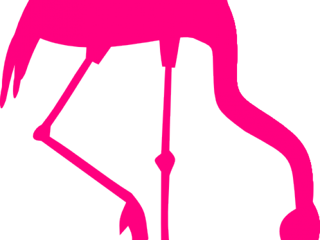 Flamingo Clipart Silhouette - Flamingo Clipart Silhouette (640x480)