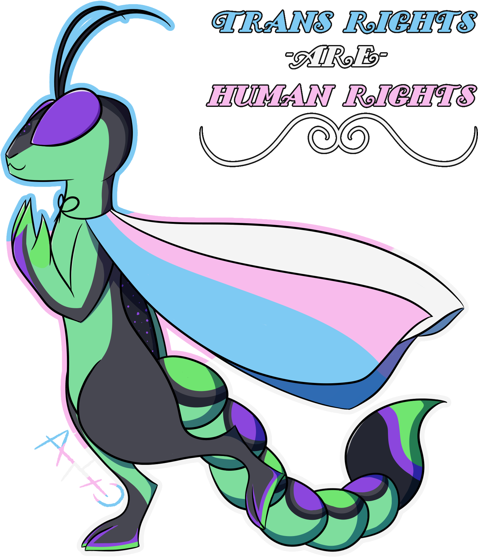 Trans Rights Are Human Rights - Trans Rights Are Human Rights (2000x2000)