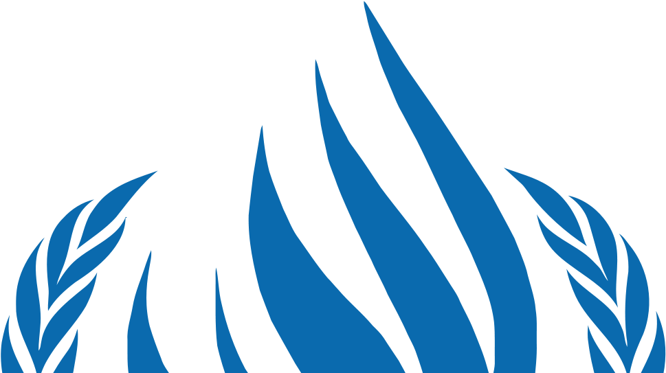 Human Rights Experts Call For International Solidarity - Human Rights Experts Call For International Solidarity (1024x576)