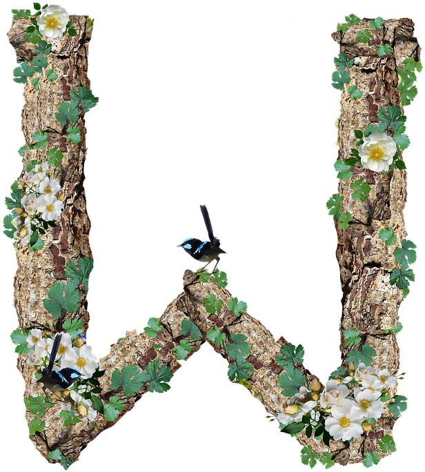 Alphabet, Letter, W, Rustic, Timber, Bark - Alphabet, Letter, W, Rustic, Timber, Bark (680x720)
