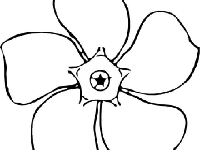 Flower Clipart Sketch - Flower Clipart Sketch (640x480)