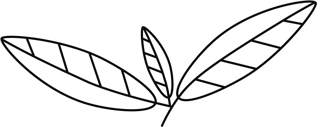 Veganism Extremely Dangerous For - Veganism Extremely Dangerous For (1065x445)