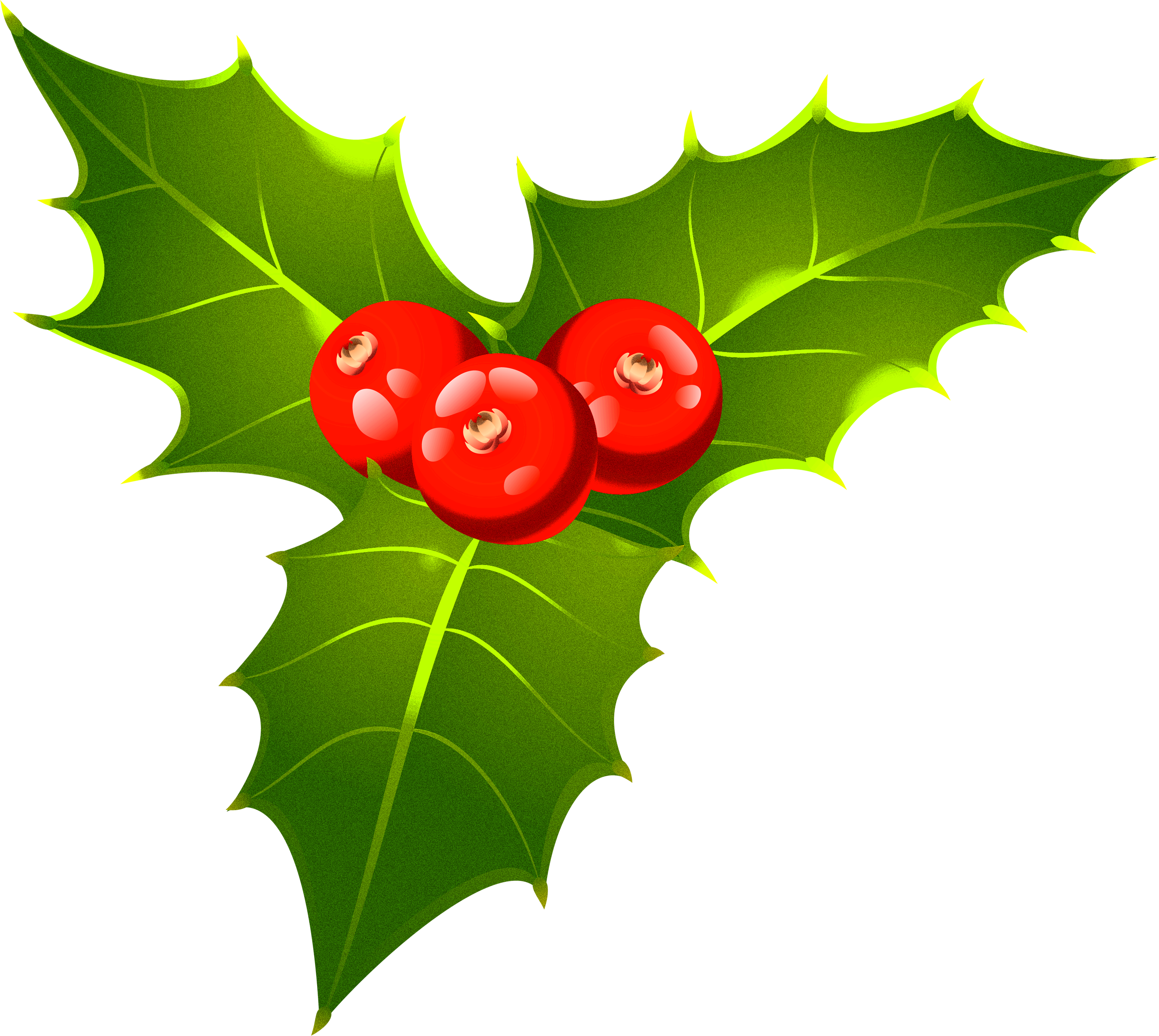 Openclipart Mistletoe Christmas Day Free Clipart Hq - Openclipart Mistletoe Christmas Day Free Clipart Hq (2701x2413)