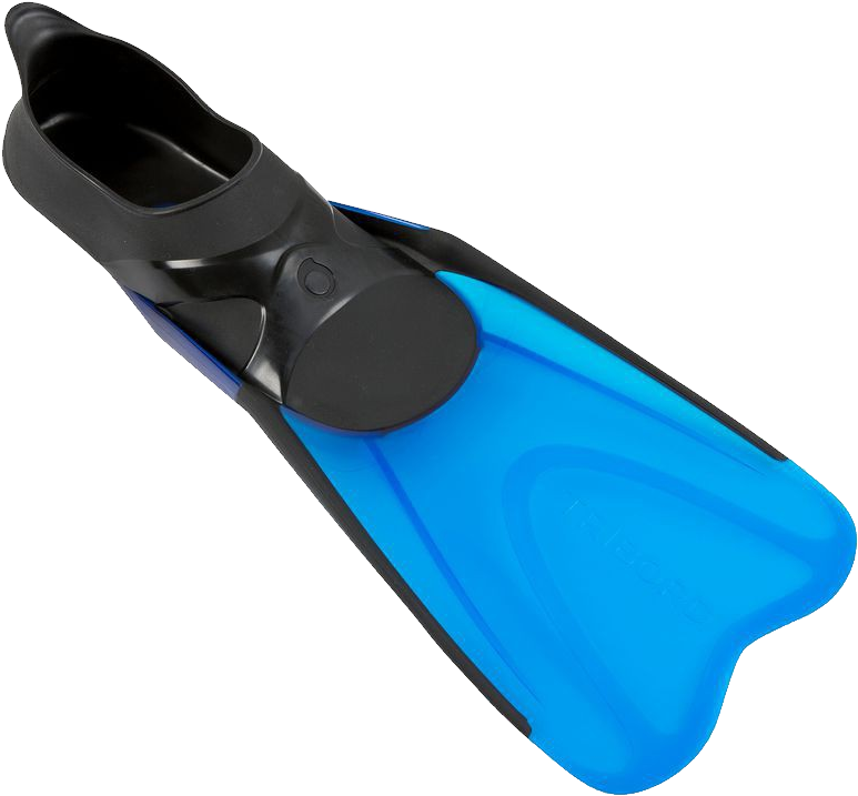 Flippers Clipart Transparent Background - Flippers Clipart Transparent Background (800x800)