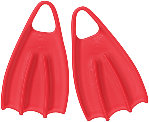 Flippers - Flippers (500x409)