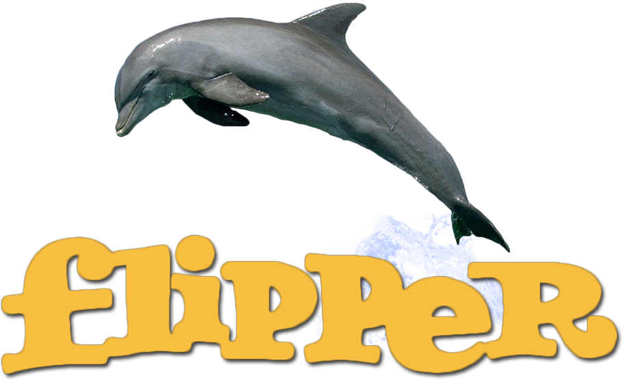 Dolphin Clipart Flipper - Dolphin Clipart Flipper (1000x562)