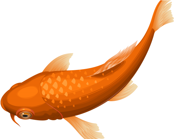 Fish Clipart Clear Background - Fish Clipart Clear Background (640x480)