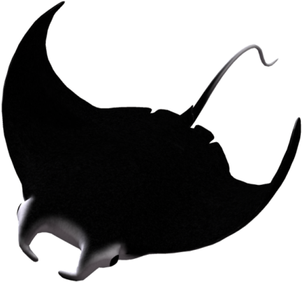 Manta Ray Clipart Eagle Ray - Manta Ray Clipart Eagle Ray (640x480)