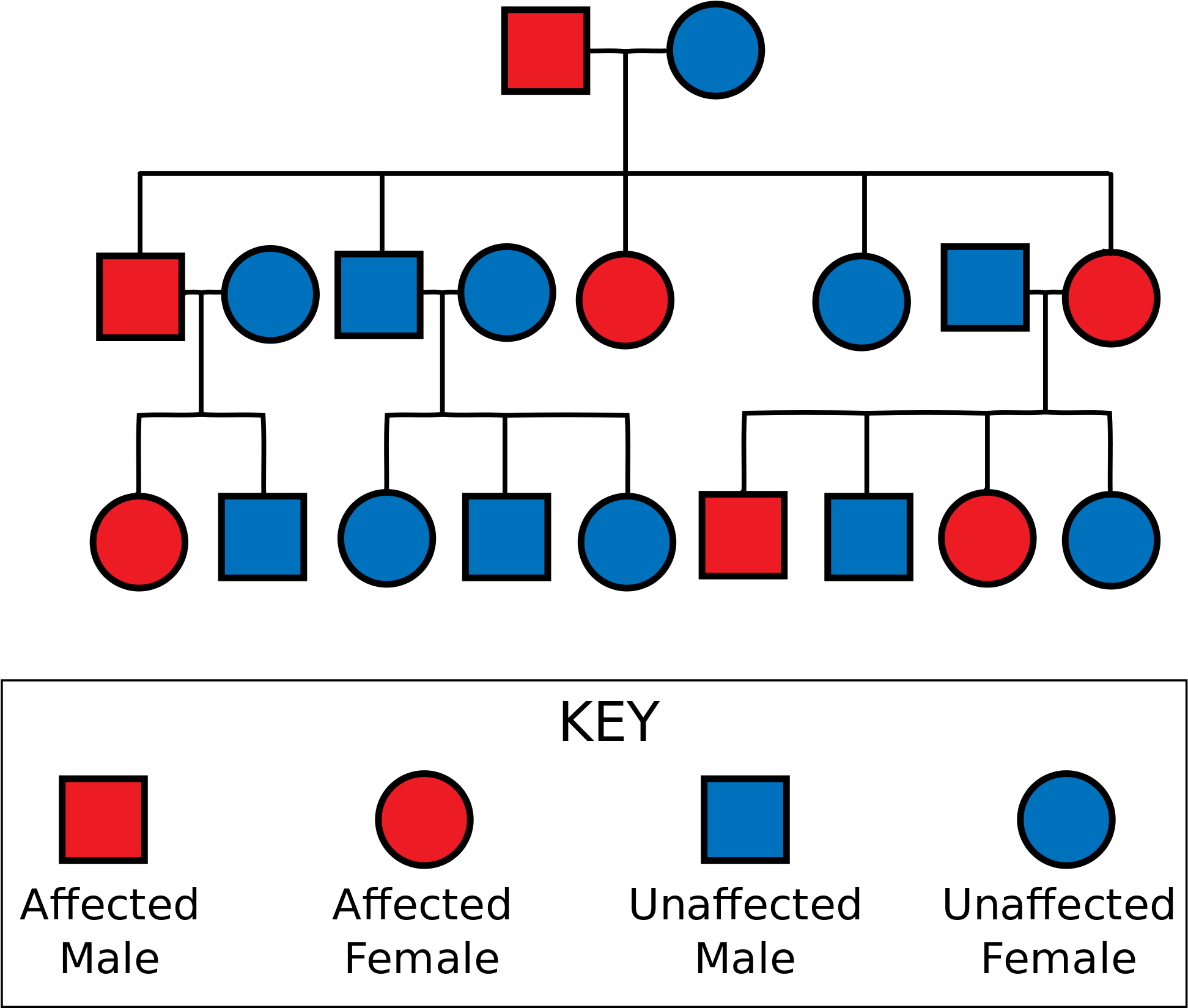 Genetics, Family Health History And Genetic Testing - Genetics, Family Health History And Genetic Testing (2000x1727)