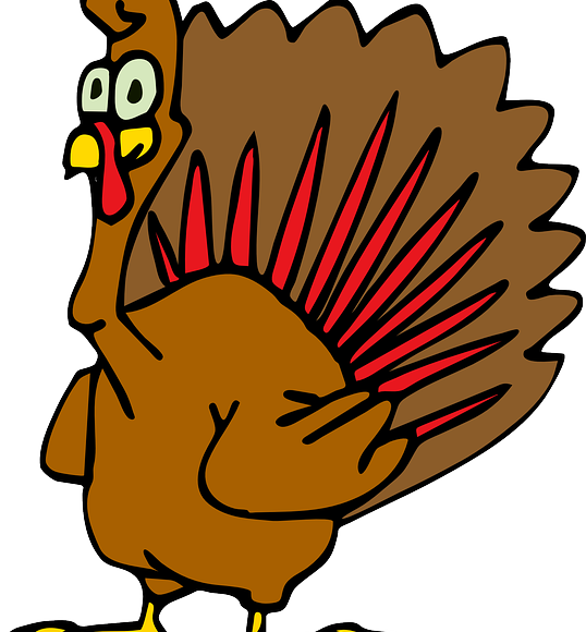 Does Eating Turkey Make You Sleepy - Does Eating Turkey Make You Sleepy (538x580)