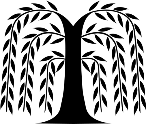Willow Tree Png - Willow Tree Png (512x512)
