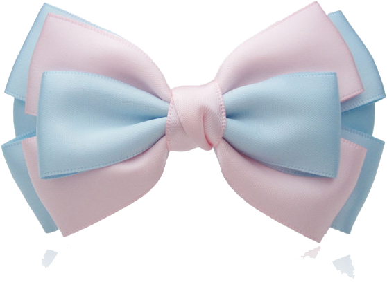 Shoelace Clip Spring - Shoelace Clip Spring (600x600)