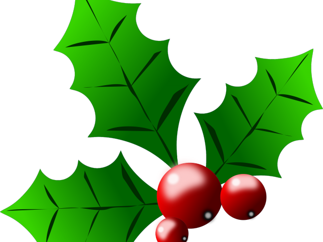 Holley Clipart Cartoon - Holley Clipart Cartoon (640x480)