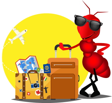 Better Compare Better Insurance - Better Compare Better Insurance (378x358)