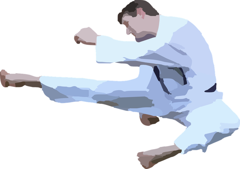 Karate Clipart Silhouette - Karate Clipart Silhouette (800x563)