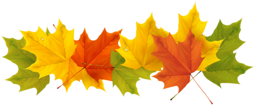 Download Transparent Fall Leaves Clipart Png Photo - Download Transparent Fall Leaves Clipart Png Photo (850x359)