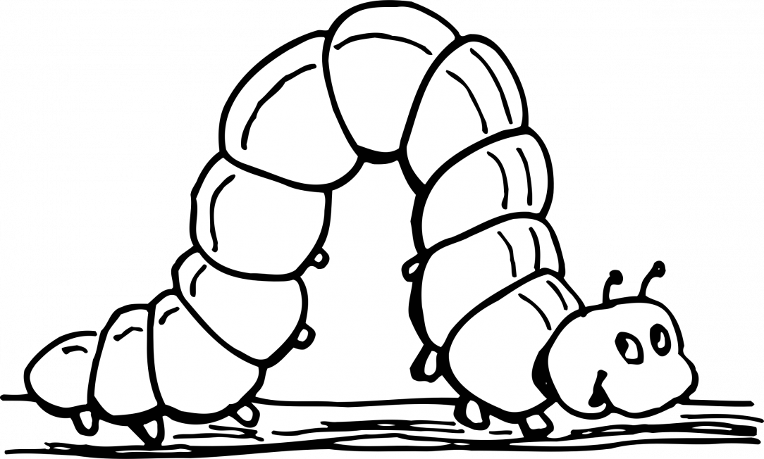 Large Size Of How To Draw A Caterpillar And Butterfly - Large Size Of How To Draw A Caterpillar And Butterfly (1084x652)