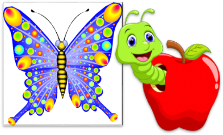 Calverley C Of E Va Primary School - Calverley C Of E Va Primary School (900x537)