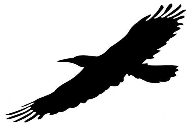 Black Bird Flying Png Clipart Bird Clip Art - Black Bird Flying Png Clipart Bird Clip Art (640x420)