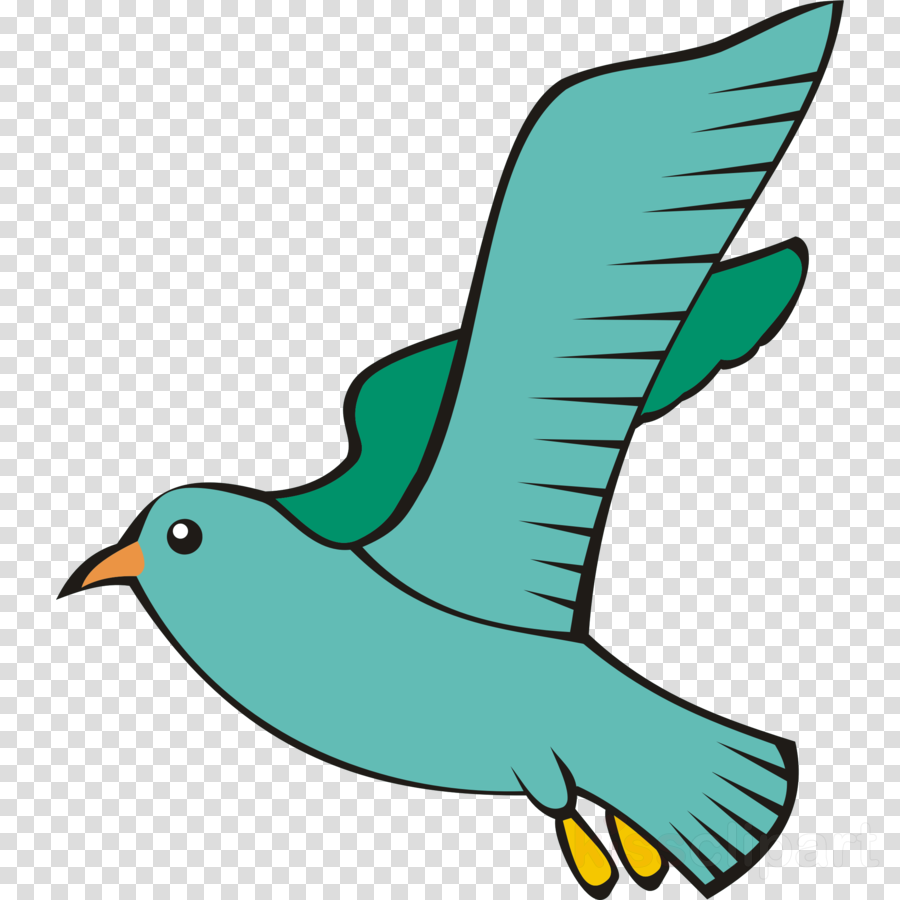 Bird Flying In The Sky Clip Arts Clipart Beak Bird - Bird Flying In The Sky Clip Arts Clipart Beak Bird (900x900)