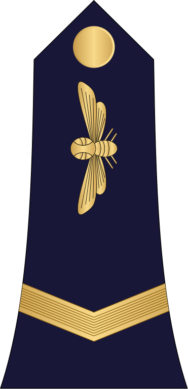 Ivory Coast Air Force-sgt - Ivory Coast Air Force-sgt (371x766)