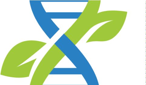 Natural Prevention For Colds & Flu - Natural Prevention For Colds & Flu (540x280)