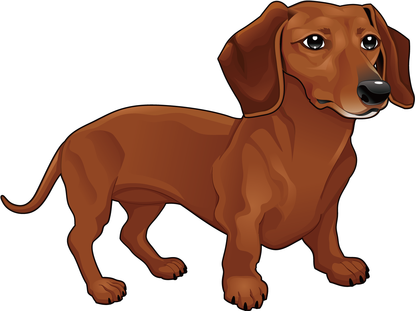 Happy Birthday Wiener Dog - Happy Birthday Wiener Dog (1500x1500)