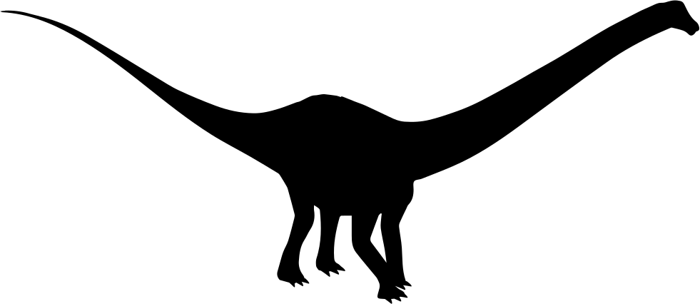 Diplodocus Dinosaur Shape Png - Diplodocus Dinosaur Shape Png (981x426)