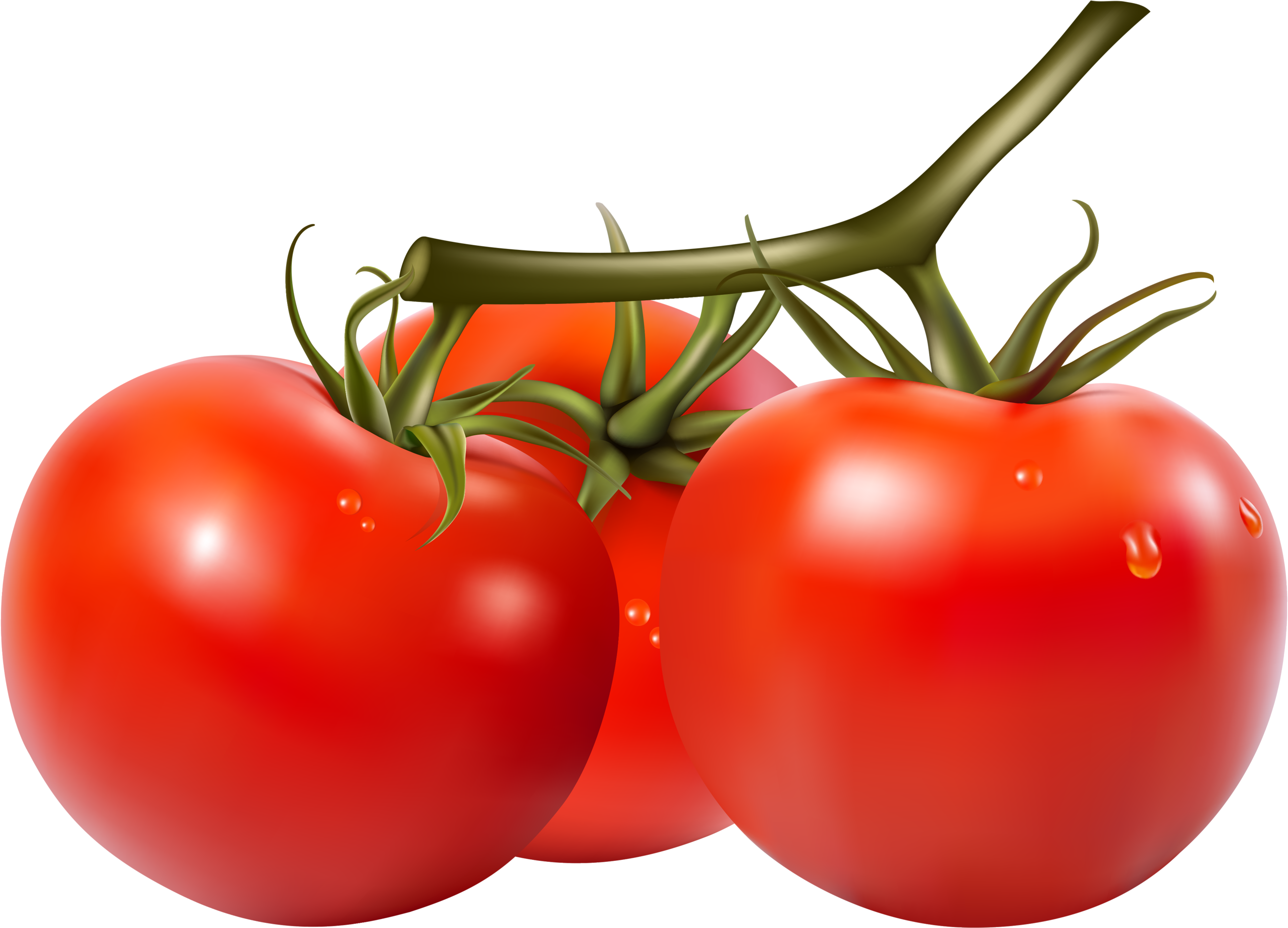 Фотки Fruits And Vegetables, Veggies, Carrots, Clip - Фотки Fruits And Vegetables, Veggies, Carrots, Clip (2560x1837)