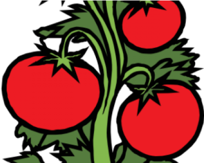 Png Stock Garden Border Clip Art Frame Vegetables Kids - Png Stock Garden Border Clip Art Frame Vegetables Kids (440x330)