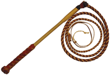 Whip With Long Handle - Whip With Long Handle (400x400)