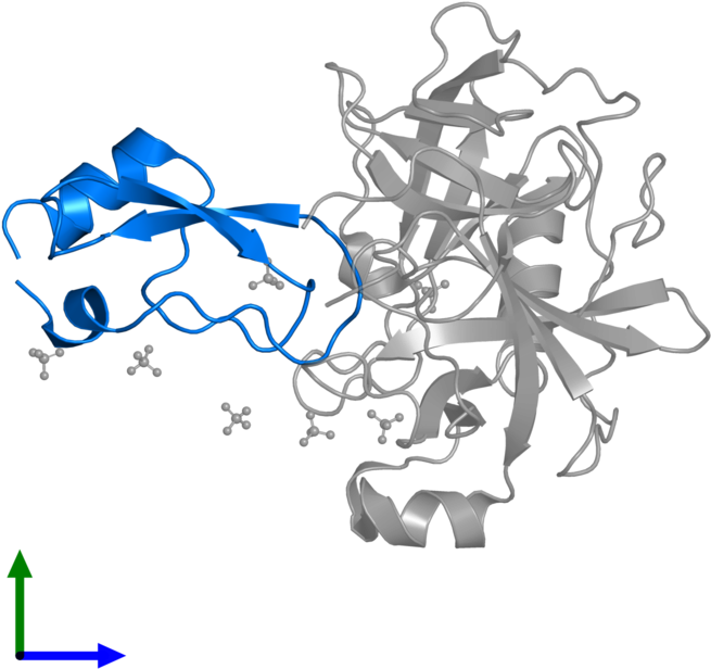 <div Class='caption-body'>pdb Entry 1t8o Contains 1 - <div Class='caption-body'>pdb Entry 1t8o Contains 1 (800x800)