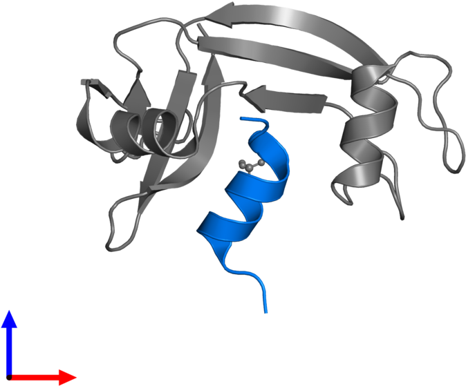 <div Class='caption-body'>pdb Entry 1d5h Contains 1 - <div Class='caption-body'>pdb Entry 1d5h Contains 1 (800x800)